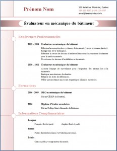 Exemple de CV #270