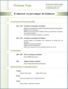 Exemple de CV #271