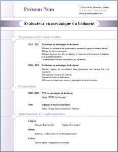 Exemple de CV #272