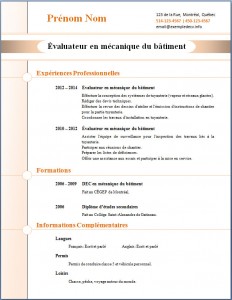 Exemple de CV #273