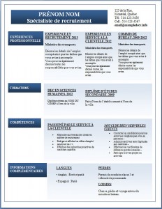 Exemple de CV #282