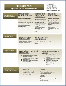 Exemple de CV #283