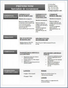 Exemple de CV #284