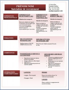 Exemple de CV #285