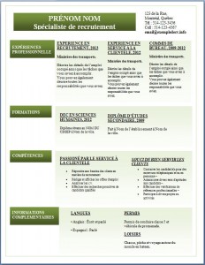 Exemple de CV #286