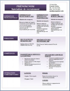 Exemple de CV #287