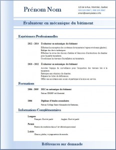 Exemple de CV #310