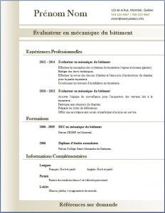 Exemple de CV #311