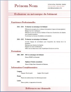 Exemple de CV #312