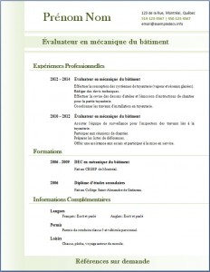 Exemple de CV #313