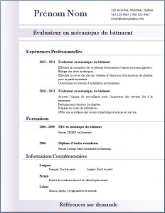 Exemple de CV #314
