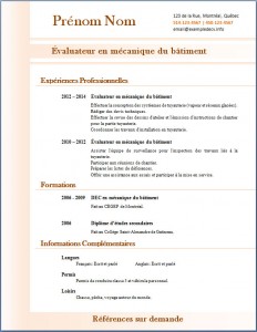 Exemple de CV #315