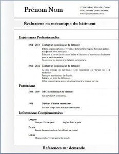 Exemple de CV #316