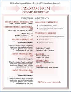 Exemple de CV #383