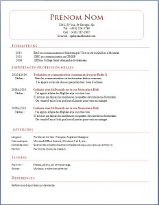 Exemple de CV #418