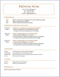 Exemple de CV #421