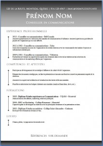Exemple de CV #460