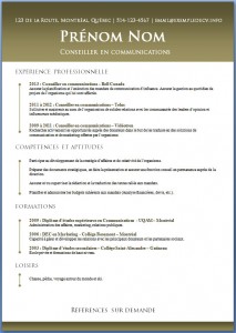 Exemple de CV #461