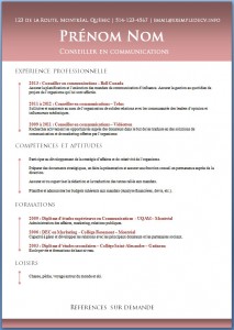 Exemple de CV #463