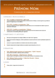 Exemple de CV #466