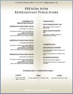 Modèle de CV #324