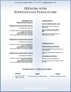Modèle de CV #325
