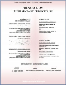 Modèle de CV #326