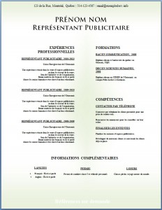 Modèle de CV #327