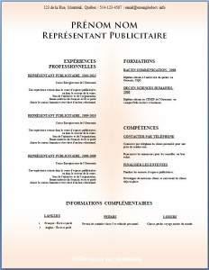 Modèle de CV #329