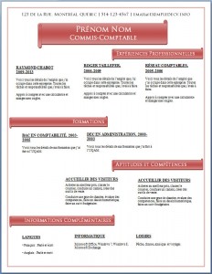 Modèle de CV #469