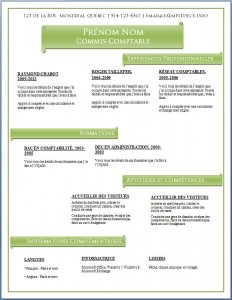 Modèle de CV #470