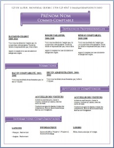 Modèle de CV #471