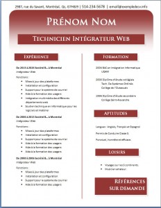 Exemple de CV #538