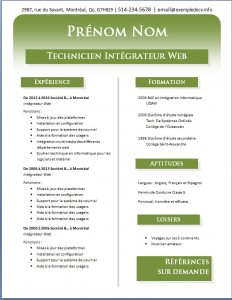 Exemple de CV #539