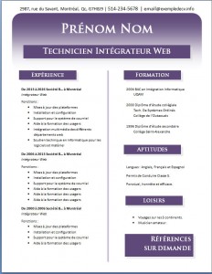 Exemple de CV #540