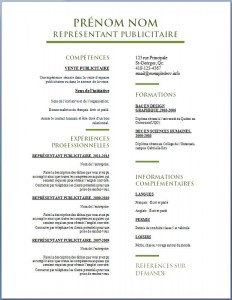 Exemple de CV #567
