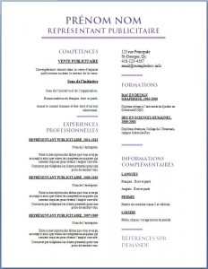 Exemple de CV #568