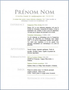 Exemple de CV #617