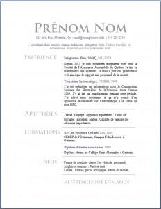 Exemple de CV #618