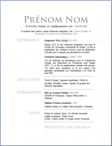 Exemple de CV #620