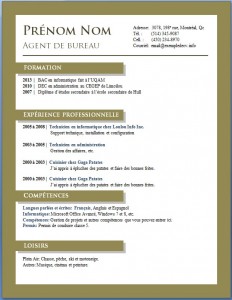 Exemple de cv #671