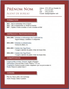 Exemple de cv #672