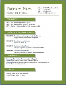 Exemple de cv #673