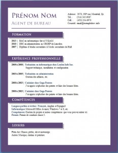 Exemple de cv #674