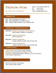 Exemple de cv #675