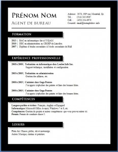 Exemple de cv #676