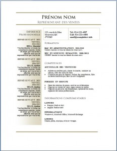 Exemple de curriculum vitae #678