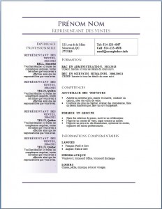 Exemple de curriculum vitae #681