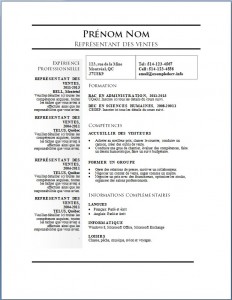 Exemple de curriculum vitae #683