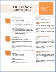 exemple_de_cv_698